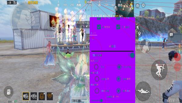 和平精英【雪儿内核】辅助